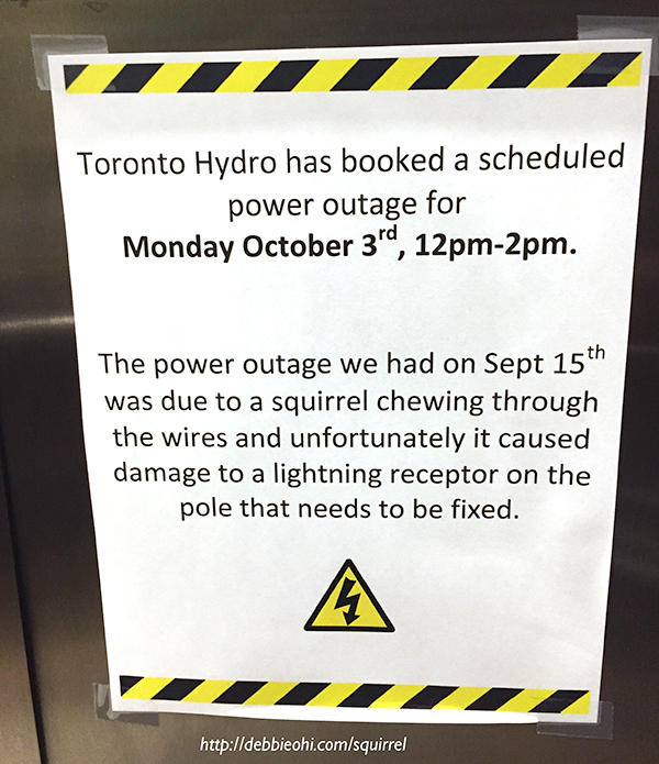 Toronto hydro sign saying that a recent power outage was due to a squirrel chewing through the wires.